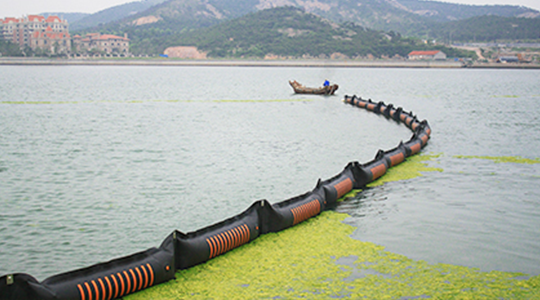 2008年7月，參加青島海域滸苔防治工作